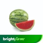 Brightfarms Watermelon (Chinese/Light Green) Per Piece (3 - 4kg)