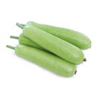 Premium Bottle Gourd pc