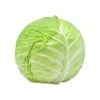 Green Cabbage 1kg