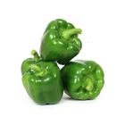 Capsicum Shimla Mirch 250g
