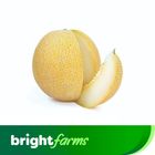 BrightFarms Melon Garma Sherin Per Piece (Afghanistan)