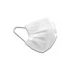 Surgical Mask (White) 1 Unit