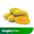 brightfarms Duseri Mango 1kg