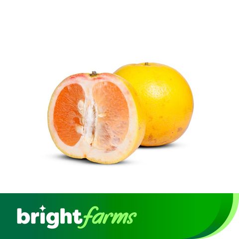 brightfarms Grapefruit (Punjab) Per Piece