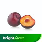 brightfarms Plum (Alubukhara) 500g