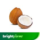 brightfarms Coconut Piece (Srilanka) (400g -600g)
