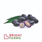 brightfarms Java Plum (Jamun) 500g