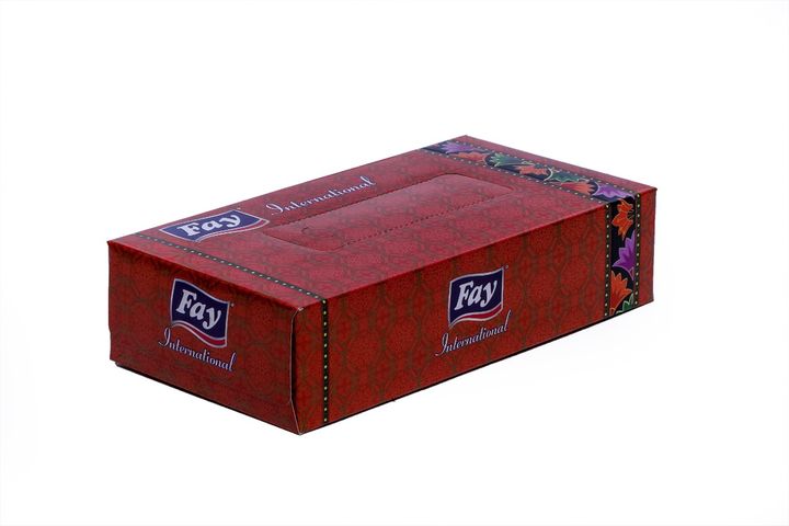 Fay Tissue International 100 Pieces