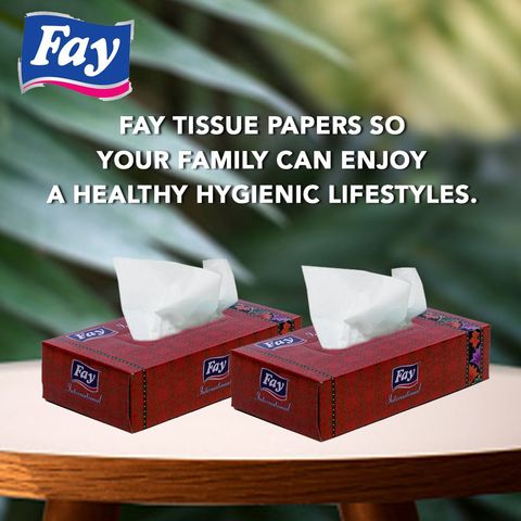 Fay Tissue International 100 Pieces
