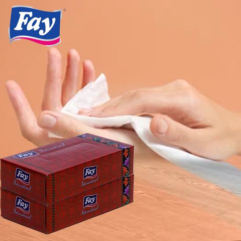 Fay Tissue International 100 Pieces
