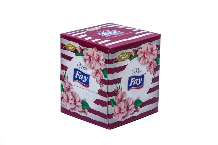 Fay Miss Tissue Box 100 Pieces