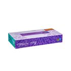 Hankies Compacta Tissue Box
