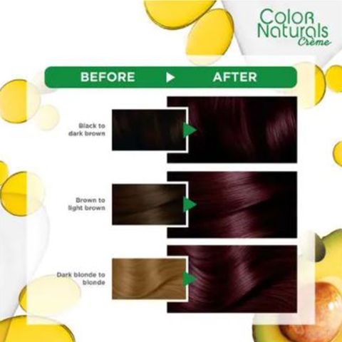 Garnier Color Naturals Hair Color # 3.6 Deep Red Brown 1 Box