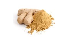 Ginger Powder (Adrak Powder) 100g