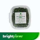 brightfarms Kale Curly 40g