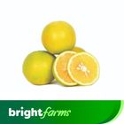 brightfarms Sweet Lime (Mitha) 500g