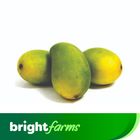 brightfarms Saroli Mango 1kg