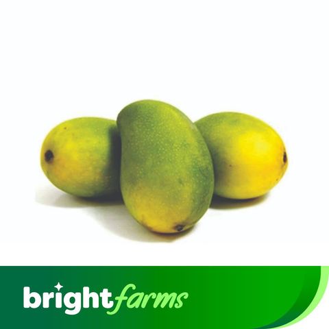brightfarms Saroli Mango 1kg