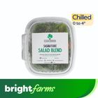 brightfarms Salad Blend 40g Box