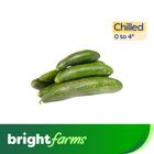 Fresh Cucumber (Kheera) 500g