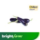 Aubergine Long (Lambi Baingan) 500g