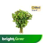 Brightfarms Mint Leaves - Podina (Pakistan) 1 Bundle