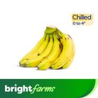(Consume by Today) brightfarms Fresh Banana (Kela) Half Dozen