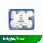 brightfarms White Button Mushrooms - 150g-250g (Imported from UAE)