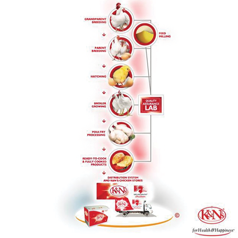 K&N's Food Thunder Fillet 550 g