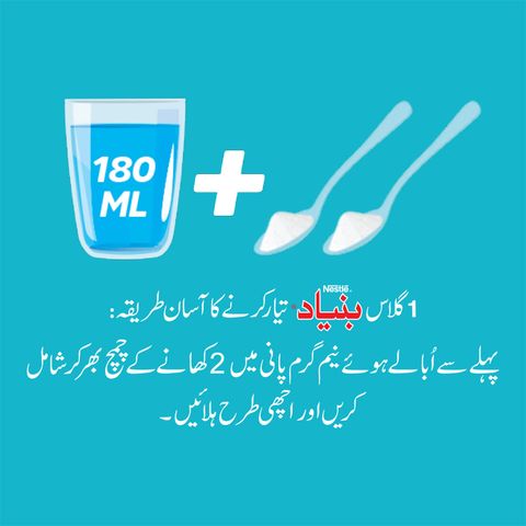 Nestle Bunyad Powder Pouch 260g