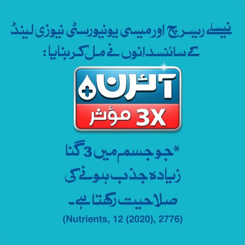 Nestle Bunyad Powder Pouch 260g