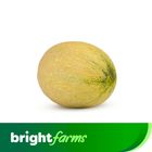 brightfarms Garma Golachi Piece