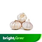 brightfarm garlic china (Lahsan) 250g