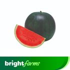 brightfarms Watermelon - Tarbooz (Pakistan) Per Piece (3- 4kg)