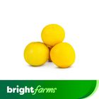 brightfarms Lemon - Desi Nimbu (Pakistan) 250g