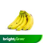 brightfarm fresh banana half dozen ( Yellows with some Black Sugar Spots)
