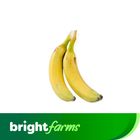 BrightFarms Fresh Banana ( 2 pcs ) (Semi-Ripe Yellows with some Black Sugar Spots)