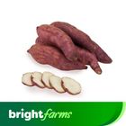 brightfarms Sweet Potato Shakarkandi (Pakistan) 1kg