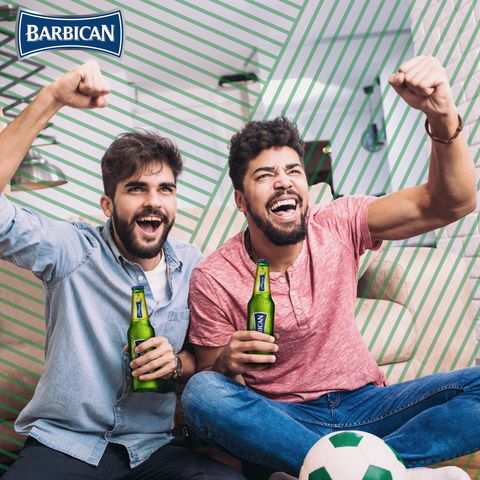 Barbican Bottle Raspberry 330ml