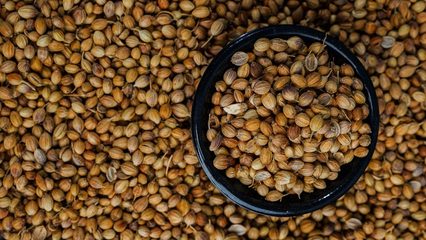 Whole Coriander (Dhaniya Sabut)  100g