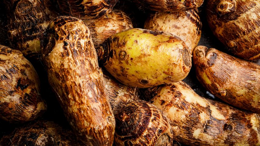 brightfarms Sweet Potato Shakarkandi (Pakistan) 500g