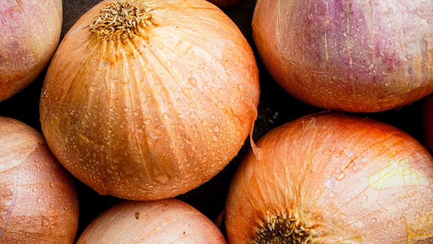 brightfarms Onion -Pyaz (Sindh) Mix 1kg