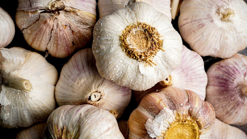 brightfarm garlic china (Lahsan) 250g