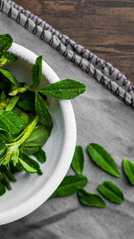 brightfarms Fenugreek -Methi (Pakistan) 500g