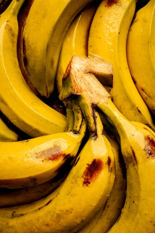 brightfarm fresh banana half dozen ( Yellows with some Black Sugar Spots)
