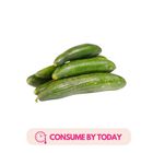 Brightfields Fresh Cucumber (kheera) 500 g (Consume by Today)