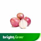 brightfarms Onion -Pyaz (Sindh) Mix 1kg
