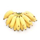ABC Banana Bangla Pieces
