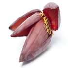 Banana Flower - Kolar Mocha 1 Piece