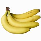 Banana 4 Pieces